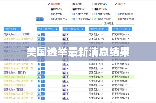 美国选举最新消息结果