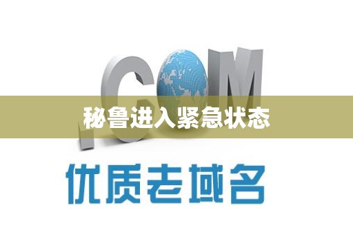 秘鲁进入紧急状态