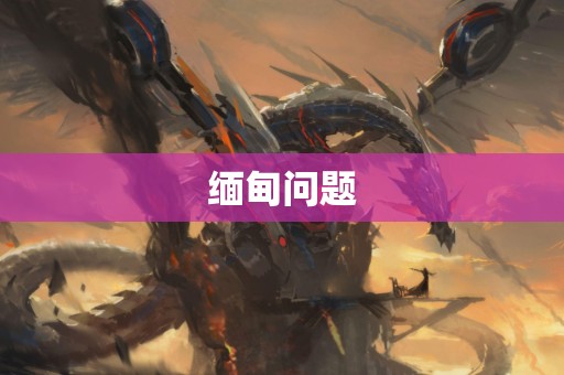 缅甸问题