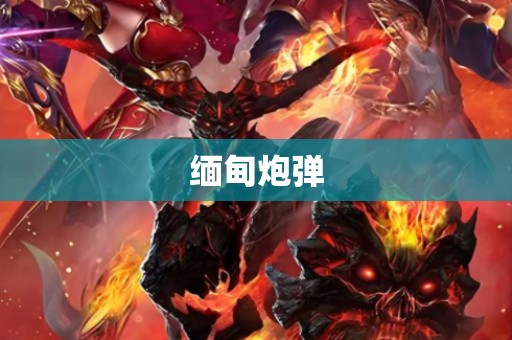 缅甸炮弹