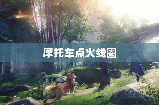 摩托车点火线圈