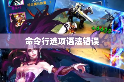 命令行选项语法错误