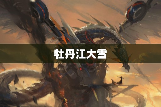 牡丹江大雪