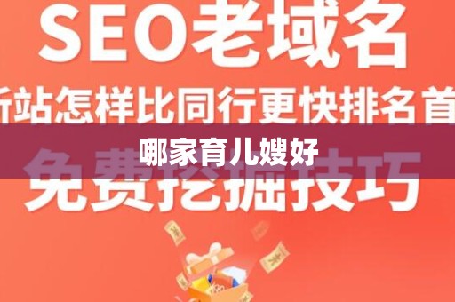 哪家育儿嫂好
