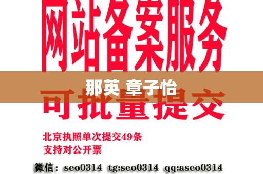 那英 章子怡