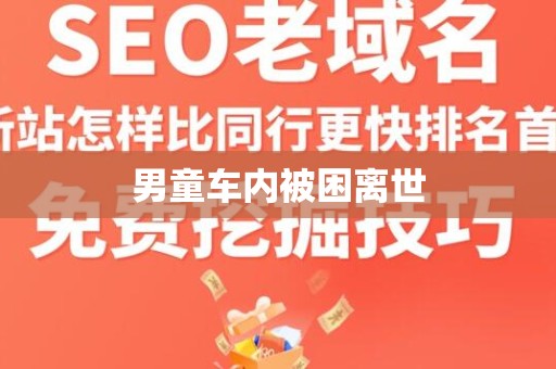 男童车内被困离世