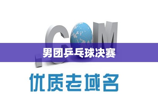 男团乒乓球决赛