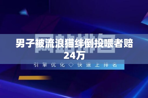 男子被流浪猫绊倒投喂者赔24万