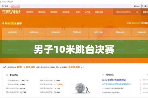 男子10米跳台决赛
