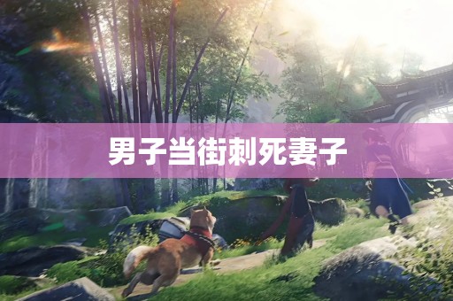 男子当街刺死妻子