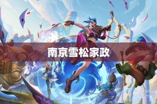 南京雪松家政