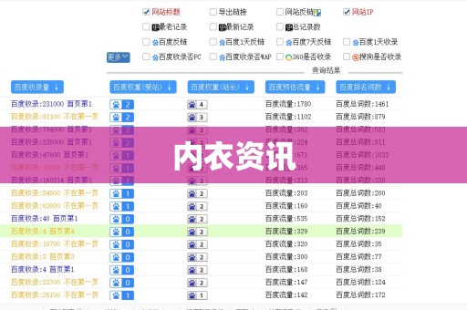 内衣资讯