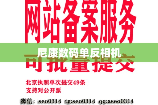 尼康数码单反相机