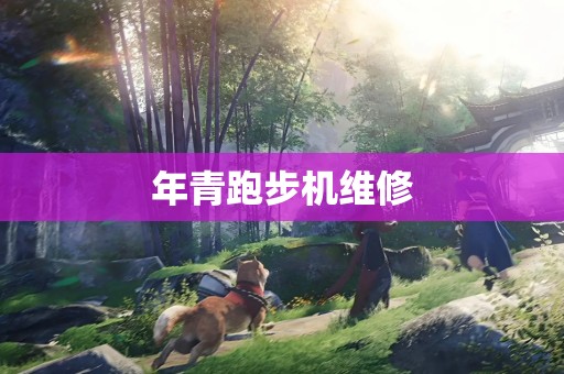 年青跑步机维修
