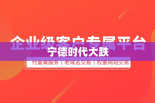 宁德时代大跌