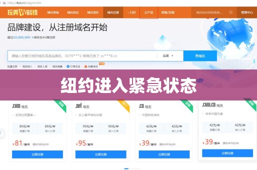 纽约进入紧急状态