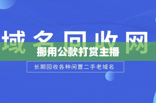 挪用公款打赏主播
