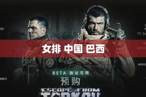 女排 中国 巴西