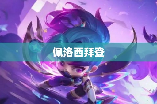 佩洛西拜登