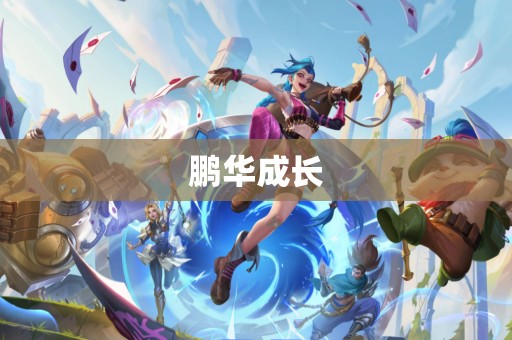 鹏华成长