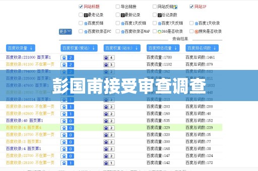 彭国甫接受审查调查