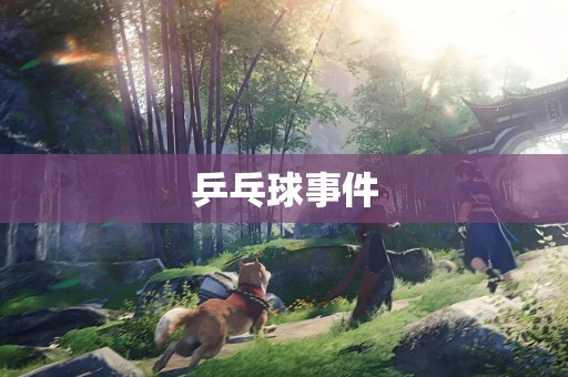 乒乓球事件