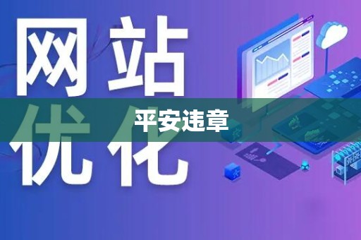 平安违章