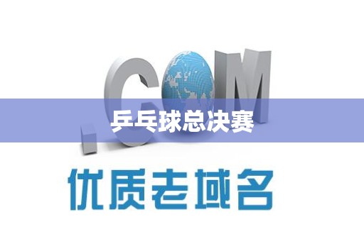 乒乓球总决赛