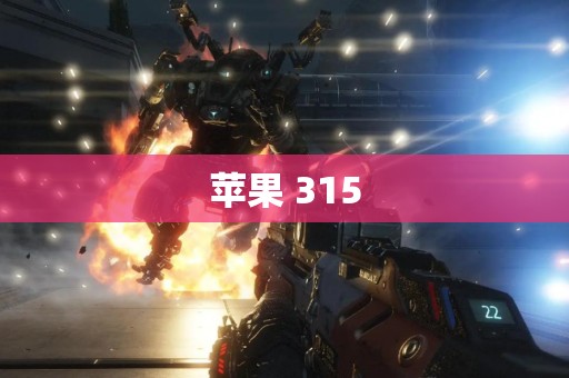 苹果 315