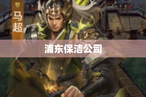 浦东保洁公司