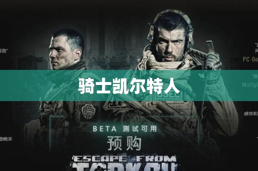骑士凯尔特人
