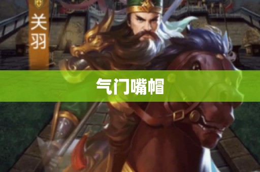 气门嘴帽