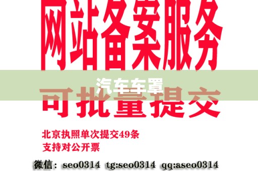 汽车车罩