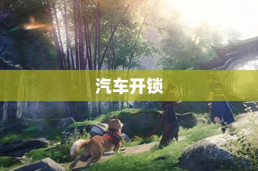 汽车开锁