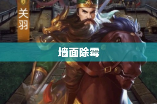 墙面除霉