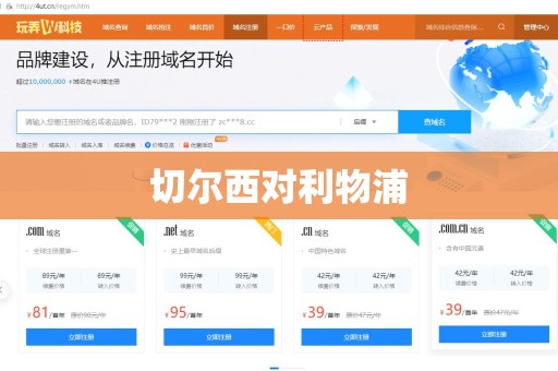 切尔西对利物浦