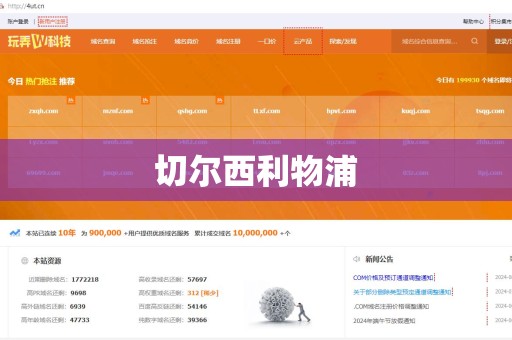 切尔西利物浦