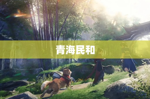 青海民和