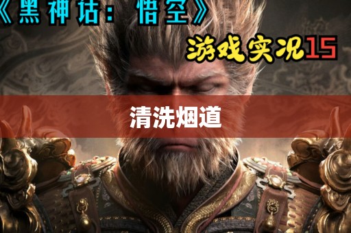 清洗烟道