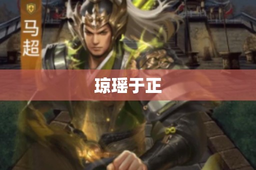 琼瑶于正