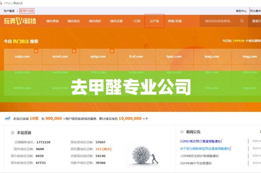 去甲醛专业公司