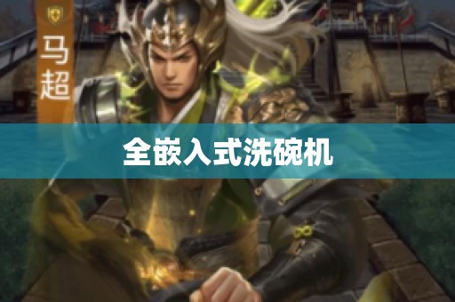 全嵌入式洗碗机