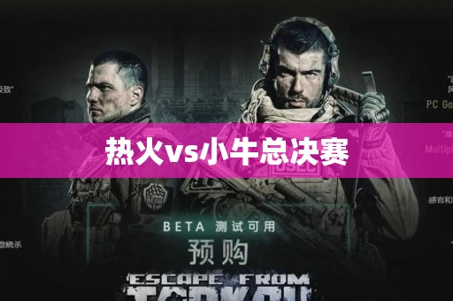 热火vs小牛总决赛