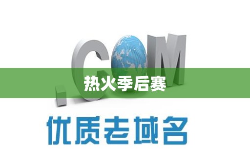 热火季后赛