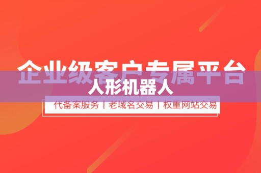 人形机器人
