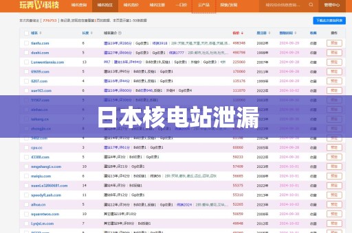 日本核电站泄漏