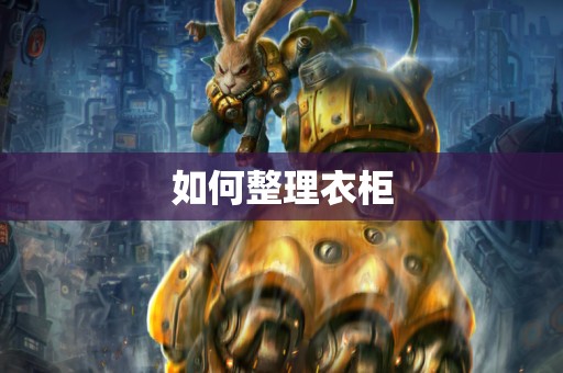 如何整理衣柜
