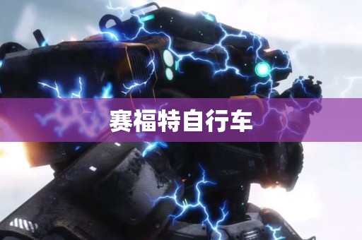赛福特自行车