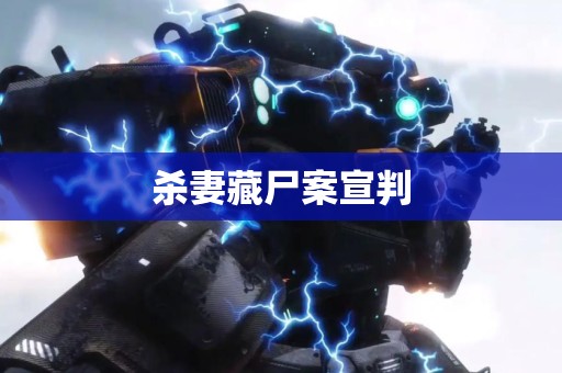 杀妻藏尸案宣判
