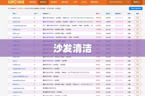沙发清洁